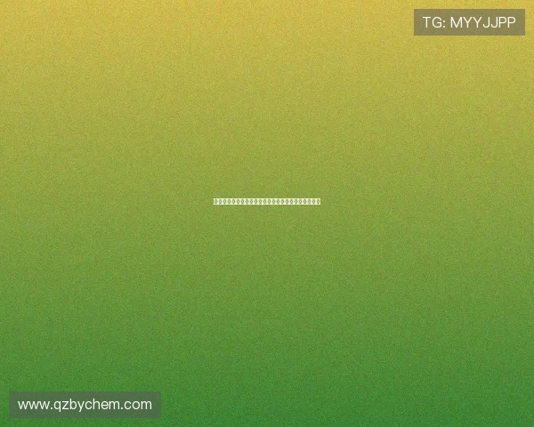 上海网球队逆袭之路：从低谷到巅峰的总决赛特别报道