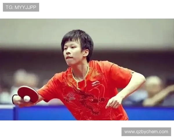 乒乓球盛宴：深入解析北京乒乓球队的默契配合与战术策略