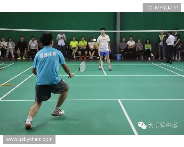 西安羽毛球队在精英赛中的节奏掌控与表现分析